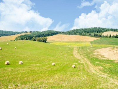 Farmhouse Apartment near Pisa, Beaches - Outdoor photo 17