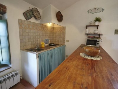 Farmhouse Apartment near Pisa, Beaches - Features photo 25