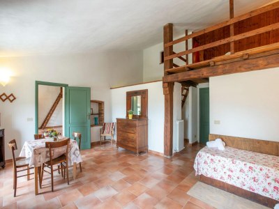 Farmhouse Apartment near Pisa, Beaches - Features photo 29