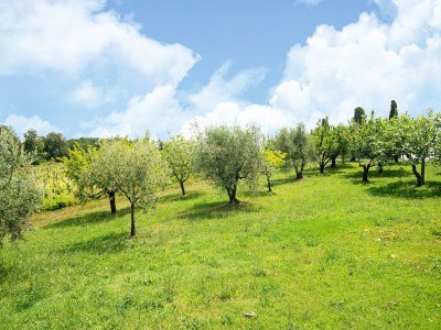 Farmhouse Apartment near Pisa, Beaches - Environment photo 35