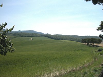 Farmhouse Wohnung zwischen Pisa und Livorno - Outdoor photo 12