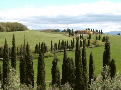 Farmhouse Wohnung zwischen Pisa und Livorno - Environment photo 29