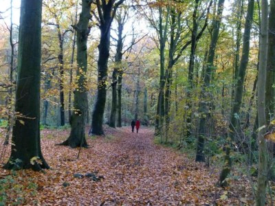 Holiday park Safari Tent at Vlugtenburg Beach - Environment photo 14