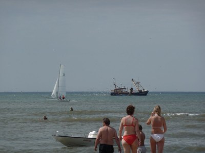 Apartment The Beach Apartment - Environment photo 20