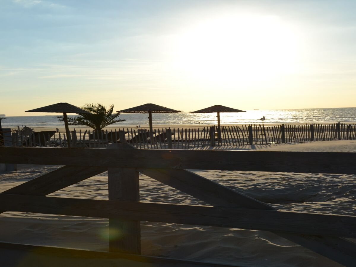 Holiday park Safari tent in 's-Gravenzande - Outdoor photo 5