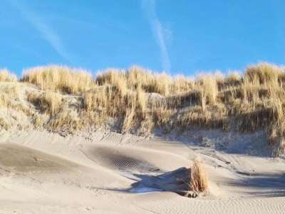 Holiday park Safari tent in 's-Gravenzande - Environment photo 26