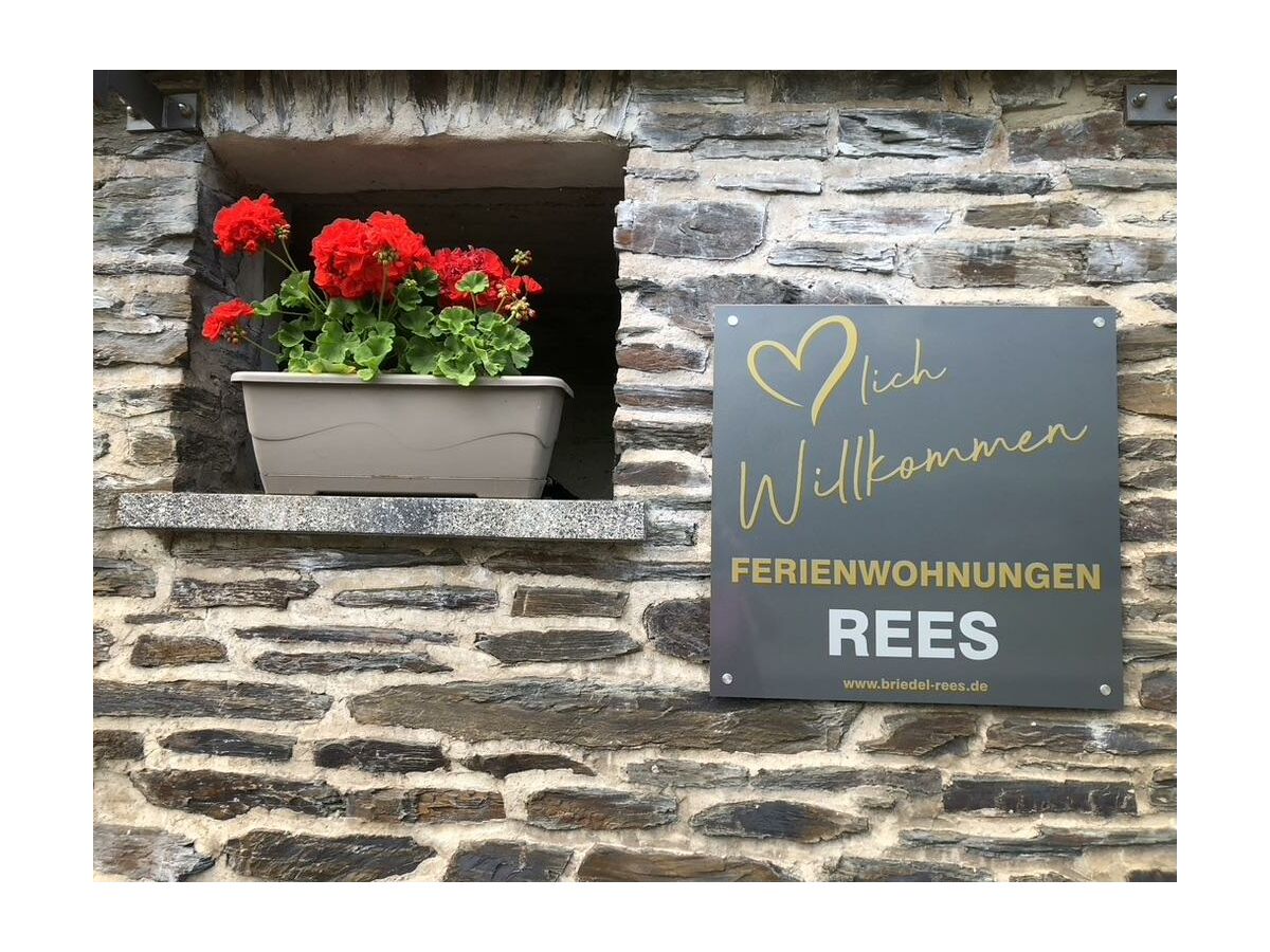 Apartment Ferienwohnung Moseltraum - Outdoor photo 2