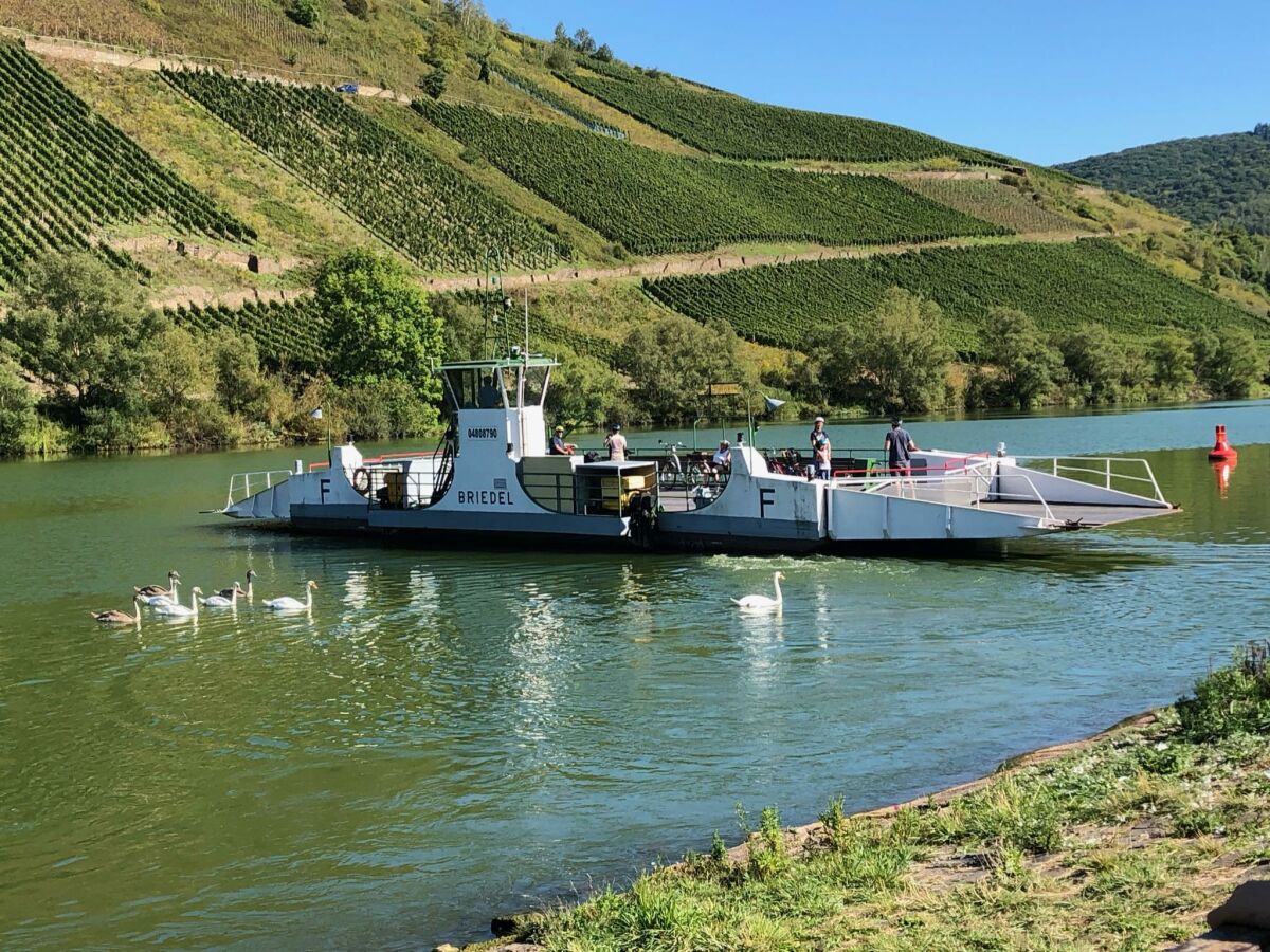 Apartment Ferienwohnung Moseltraum - Outdoor photo 4