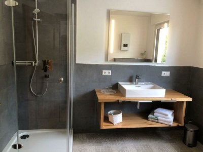 Apartment Ferienwohnung Moseltraum - Features photo 12