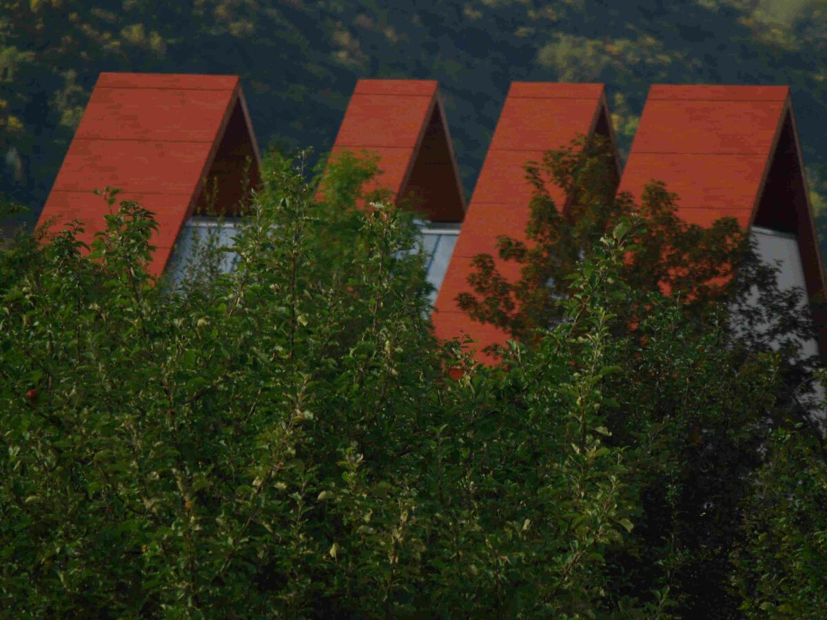 Apartment Mosel-Ferienhaus-Exclusiv - Outdoor photo 2