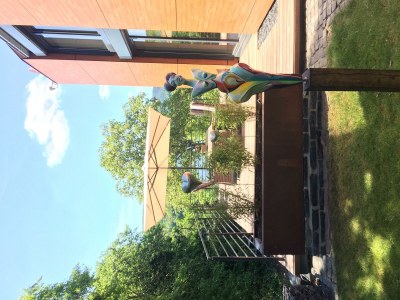 Apartment Mosel-Ferienhaus-Exclusiv - Outdoor photo 11