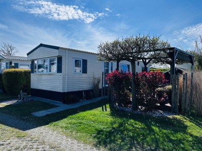 Chalet ZP 413 - Camping de Zandput - Outdoor photo 3