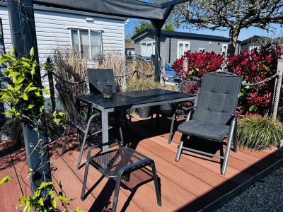 Chalet ZP 413 - Camping de Zandput - Environment photo 13