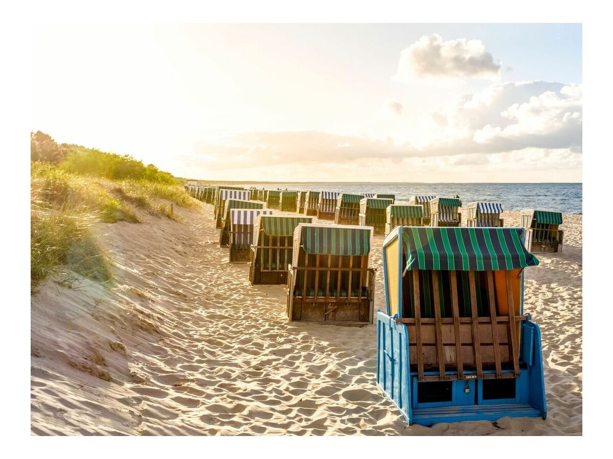 Holiday apartment Ostsee-Quartett - 15 - Outdoor photo 3