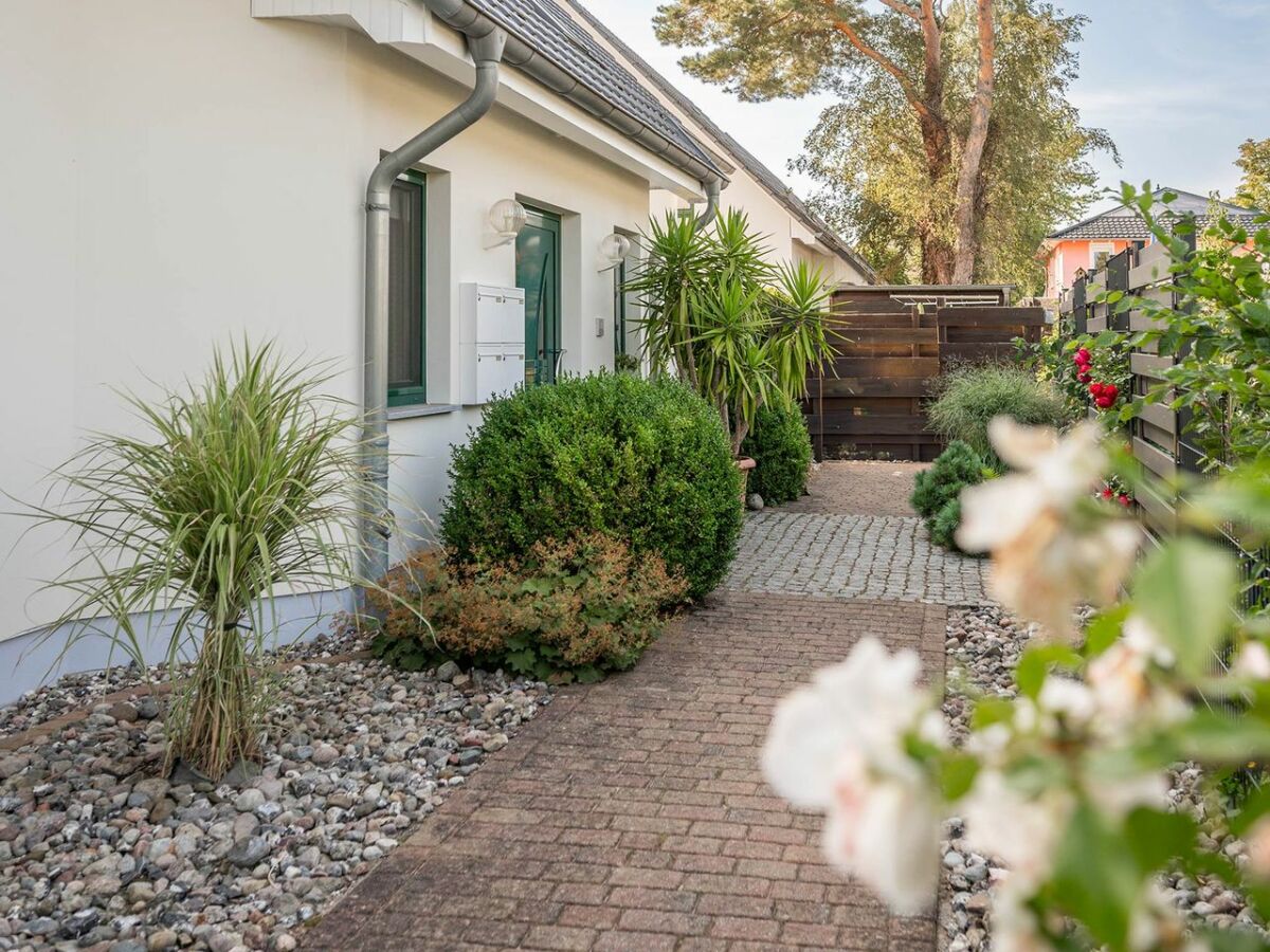 Holiday apartment Ostseepark - Asternweg 6 / 11 - Outdoor photo 5