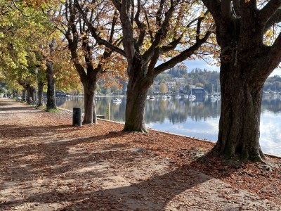 Apartment No title - Environment photo 9