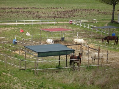 Farmhouse Apartment in Guasticce mit Gemeinschaftspool - Outdoor photo 40