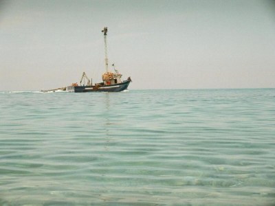 Holiday house Villa in Valderice with Pool and Garden - Environment photo 29