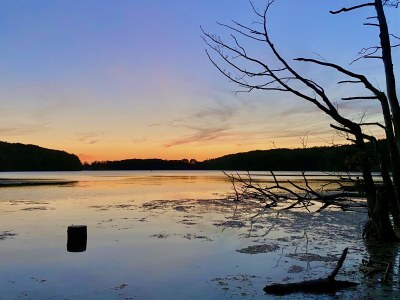 Holiday apartment "Strandläufer" - Villa Frisia - Environment photo 39