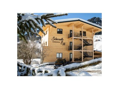 Apartment Ferienwohnung Schwendle Egg - 3 Schlafräume - Outdoor photo 21