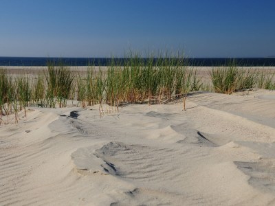 Holiday house Vredenhoef - Environment photo 10