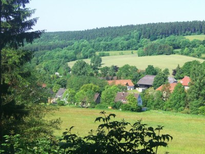 Holiday apartment Haus Heidegarten balcony - Environment photo 21