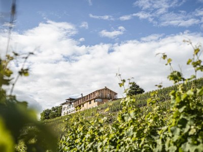 Holiday apartment Gasser - Outdoor photo 2