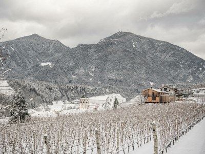 Holiday apartment Gasser - Outdoor photo 5