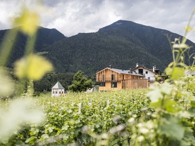 Holiday apartment Gasser - Outdoor photo 7