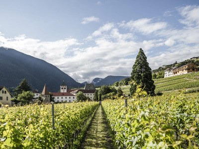 Holiday apartment Gasser - Outdoor photo 12