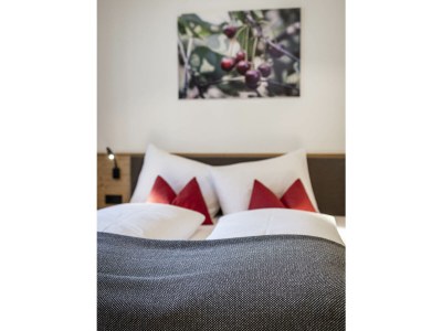 Holiday apartment Gasser - Features photo 20