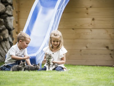 Holiday apartment Gasser - Environment photo 29