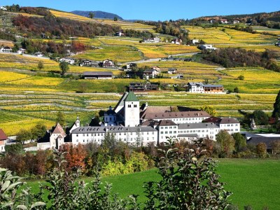 Holiday apartment Gasser - Environment photo 33