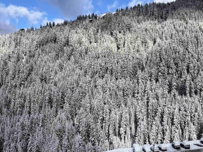 Apartment Residenz Ariondaz Edelweiss - Environment photo 28