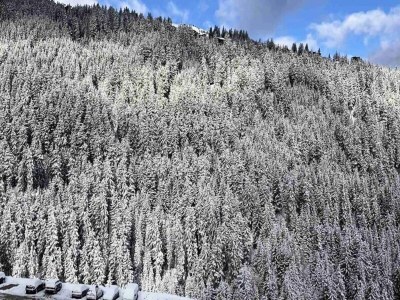 Apartment Residenz Ariondaz Edelweiss - Environment photo 29