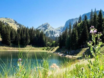 Apartment 1 Zimmer 4 Personen - Environment photo 23