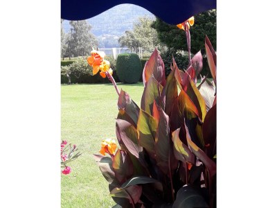 Holiday apartment House Thon Holiday Apartment Paradise - Outdoor photo 15