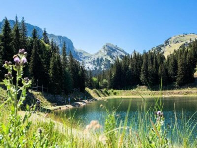 Apartment 2 Zimmer 6 Personen - Outdoor photo 5