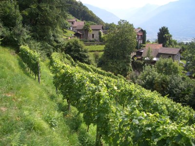 Holiday house Casa Bellavista, Delux - Outdoor photo 9