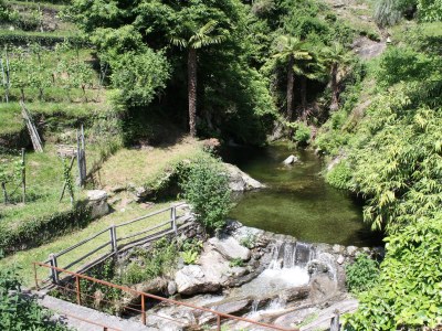 Holiday house Casa Bellavista, Delux - Environment photo 19