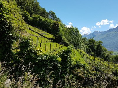 Holiday house Casa Bellavista, Delux - Environment photo 21