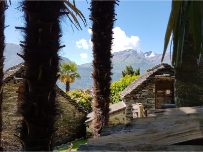 Holiday house Casa Bellavista, Delux - Environment photo 22