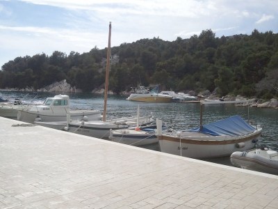 Holiday apartment Cvitan - Environment photo 20