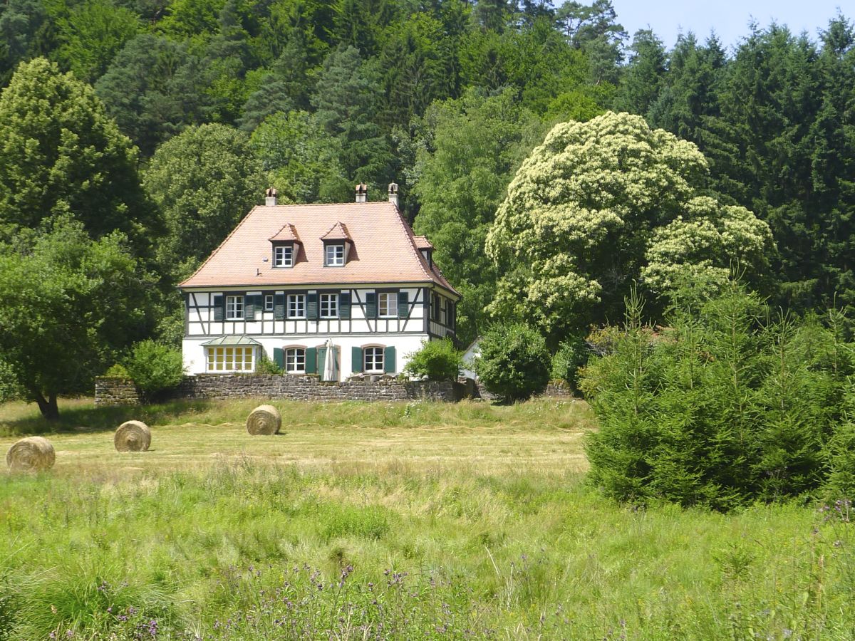 Cottage Maison forestière - Outdoor photo 2