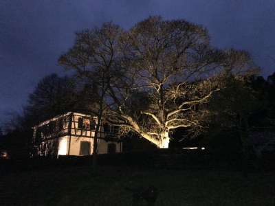 Cottage Maison forestière - Outdoor photo 6