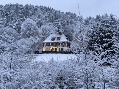 Cottage Maison forestière - Outdoor photo 7