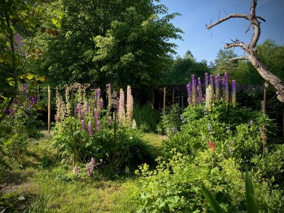 Cottage Maison forestière - Features photo 27