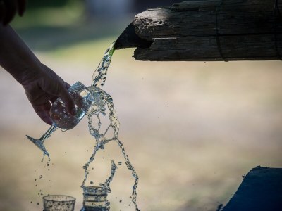 Cottage Maison forestière - Features photo 30