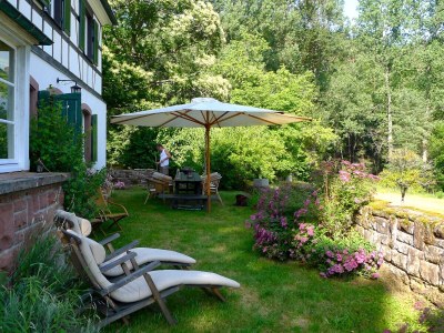 Cottage Maison forestière - Features photo 32