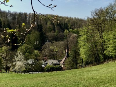 Cottage Maison forestière - Environment photo 38